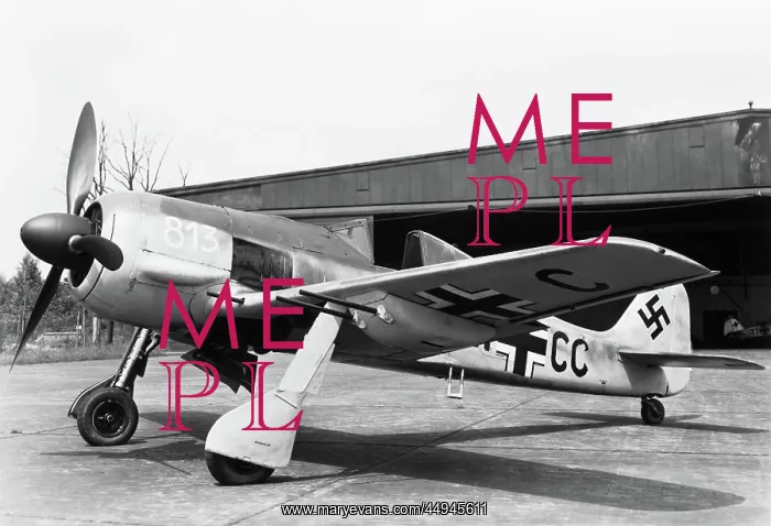 : Focke Wulf FW-190 : Focke Wulf FW-190