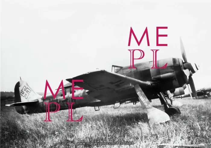 : Focke Wulf FW-190 : Focke Wulf FW-190