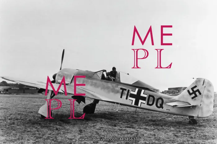 : Focke Wulf FW-190 : Focke Wulf FW-190