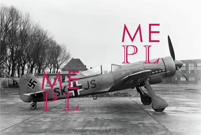 : Focke Wulf FW-190 : Focke Wulf FW-190