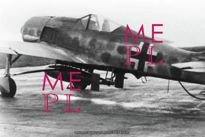 : Focke Wulf FW-190 : Focke Wulf FW-190