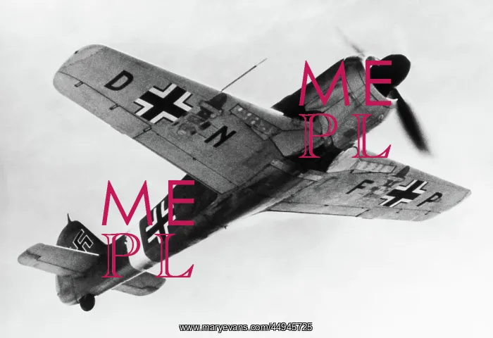 : Focke Wulf FW-190 : Focke Wulf FW-190