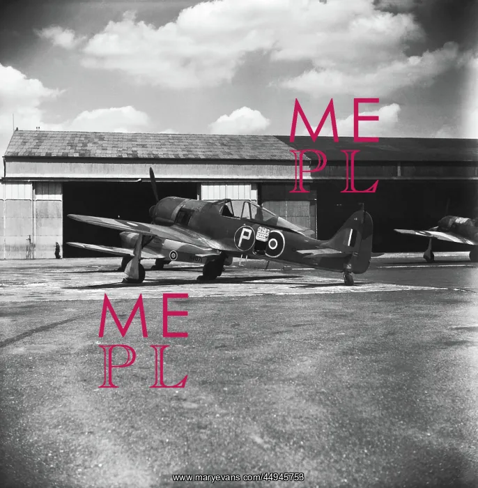 : Focke Wulf FW-190 : Focke Wulf FW-190