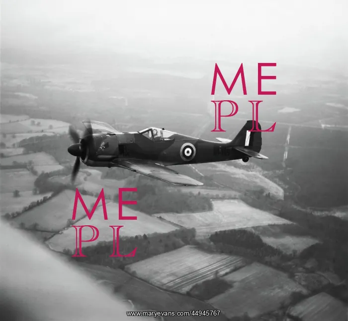 : Focke Wulf FW-190 : Focke Wulf FW-190