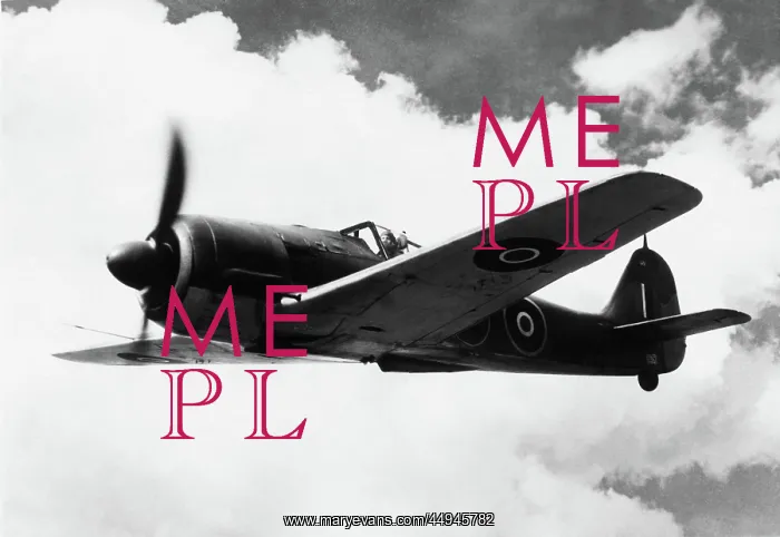  : Focke Wulf FW-190