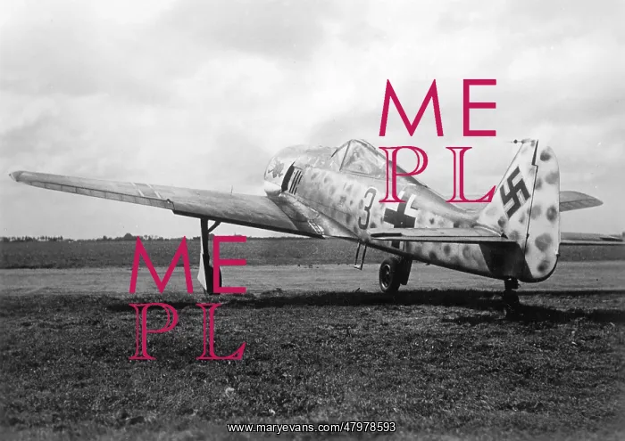 : Focke Wulf Fw 190 : Focke Wulf Fw 190