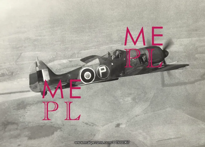 : Focke Wulf FW-190A-4 / U-8 : Focke Wulf FW-190A-4 / U-8