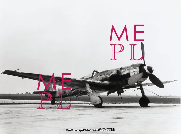 : Focke Wulf FW-190D : Focke Wulf FW-190D
