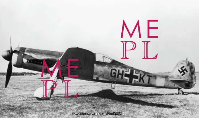  : Focke Wulf FW-190D