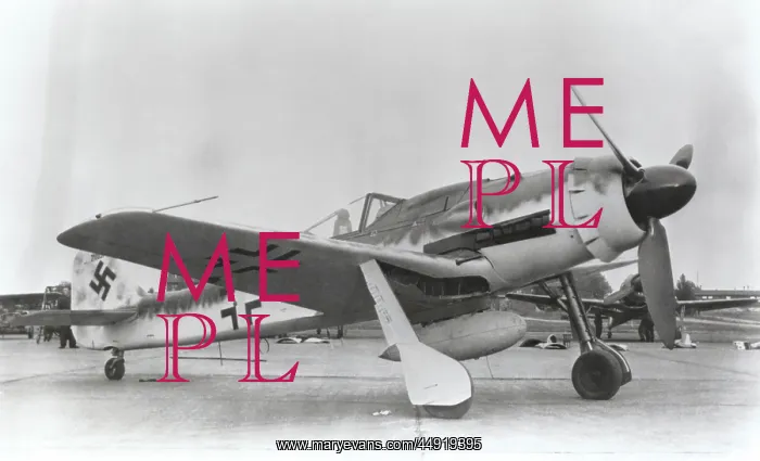 : Focke Wulf FW-190D-9