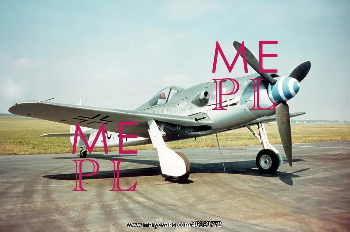 : Focke Wulf FW 190D-9 -the last of this formidable fight : Focke Wulf FW 190D-9 -the last of this formidable fight
