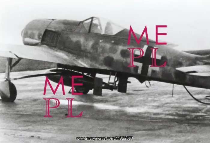 : Focke Wulf FW-190F-8 : Focke Wulf FW-190F-8