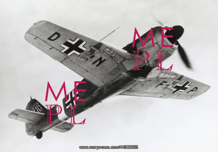 : Focke Wulf FW-190G-3 : Focke Wulf FW-190G-3