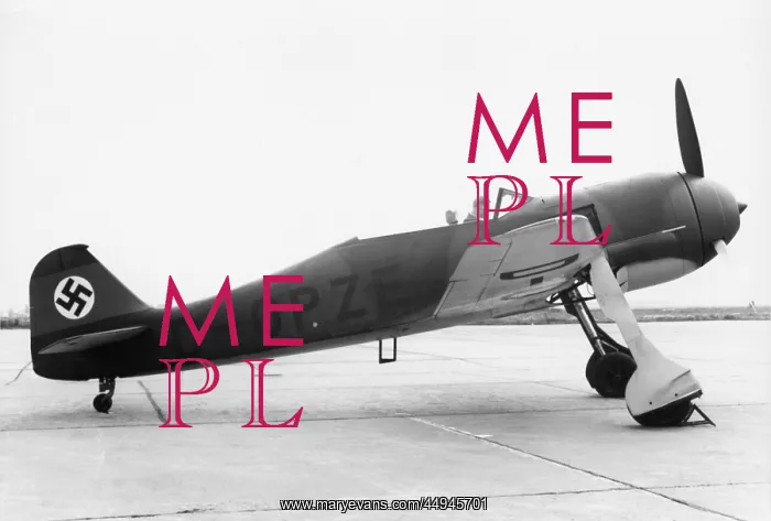 : Focke Wulf FW-190V-1 : Focke Wulf FW-190V-1