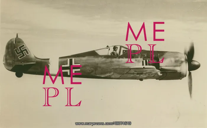 : Focke-Wulf Fw190 : Focke-Wulf Fw190
