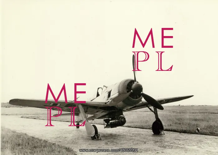 : Focke-Wulf Fw190A-5 : Focke-Wulf Fw190A-5