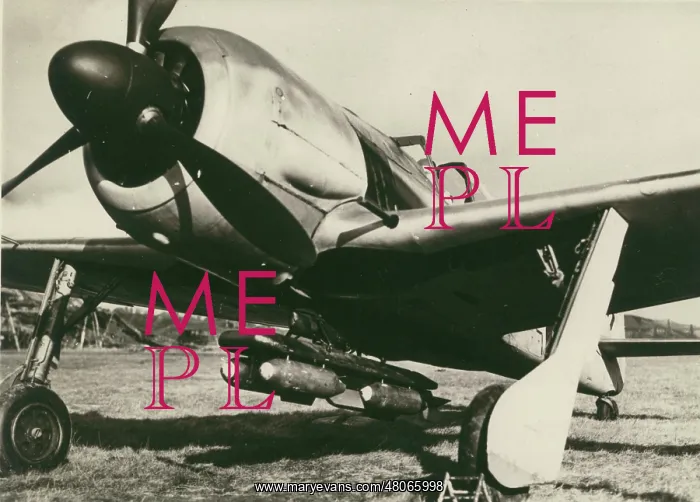 : Focke-Wulf Fw190A-5 : Focke-Wulf Fw190A-5