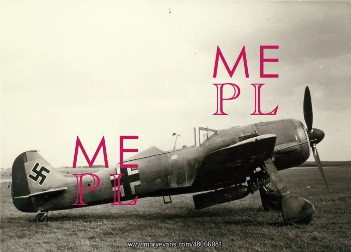 : Focke-Wulf Fw190A-5 : Focke-Wulf Fw190A-5