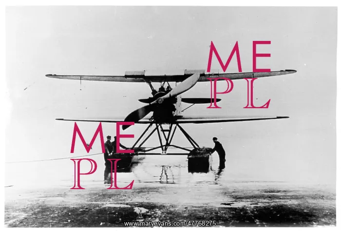 : Focke-Wulf W.4 : Focke-Wulf W.4