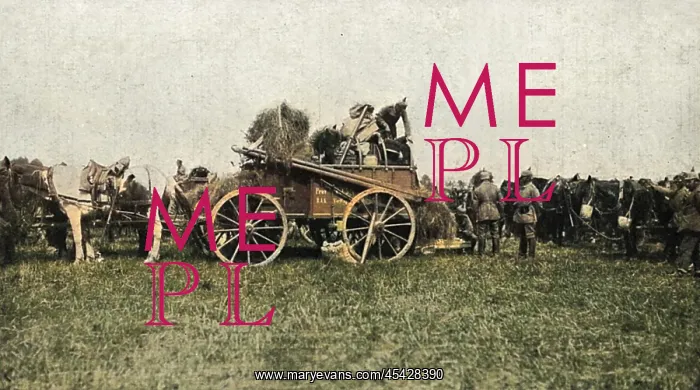 : Fodder for German cavalry horses : Fodder for German cavalry horses