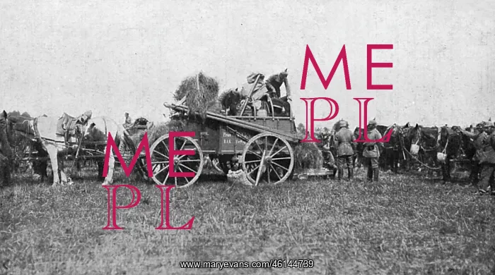: Fodder for German cavalry horses : Fodder for German cavalry horses