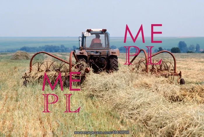 : Fodder procurement starts in Kursk Region, 1986 : Fodder procurement starts in Kursk Region, 1986