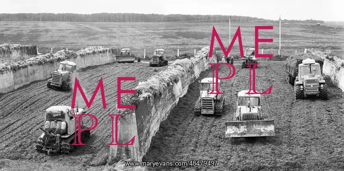 : Fodder provision in Smolensk region, 1982 : Fodder provision in Smolensk region, 1982
