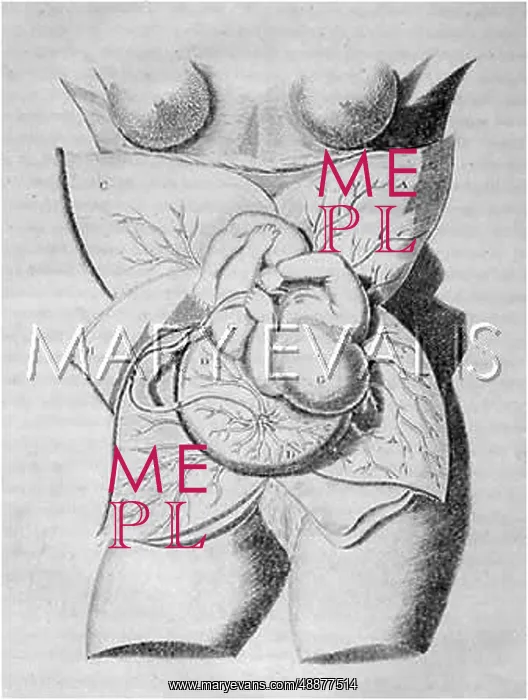 : FOETUS BEFORE BIRTH : FOETUS BEFORE BIRTH