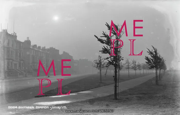 : Foggy Morning at Southsea Common : Foggy Morning at Southsea Common