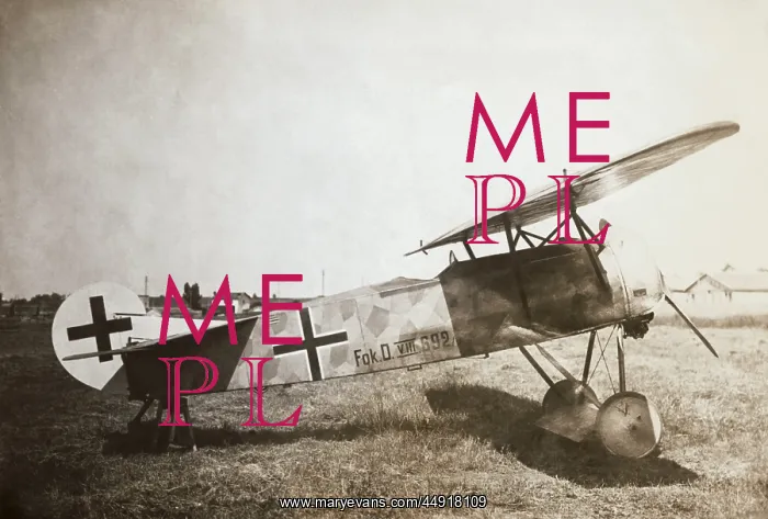 : Fokker D-VII / 7 : Fokker D-VII / 7