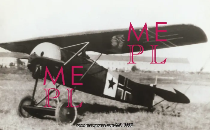 : Fokker D-VII / 7 : Fokker D-VII / 7