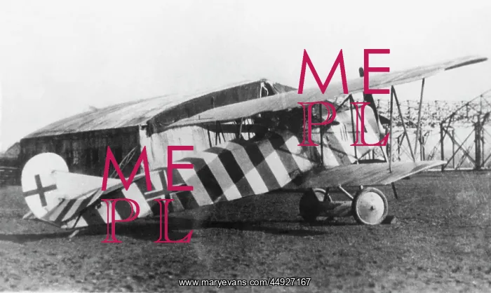 : Fokker D-VII / 7 : Fokker D-VII / 7
