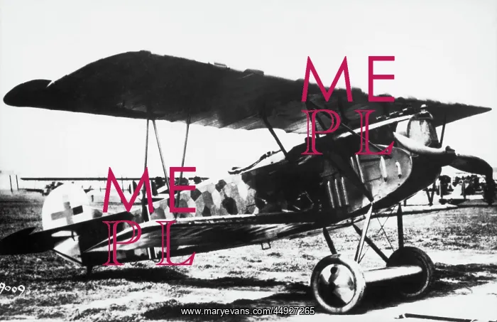 : Fokker D-VII / 7 : Fokker D-VII / 7