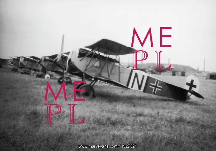 : Fokker D-VII / 7 : Fokker D-VII / 7