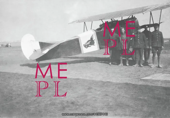 : Fokker D-VII / 7 : Fokker D-VII / 7