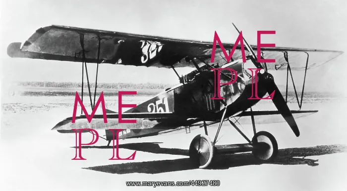 : Fokker D-VII / 7 : Fokker D-VII / 7