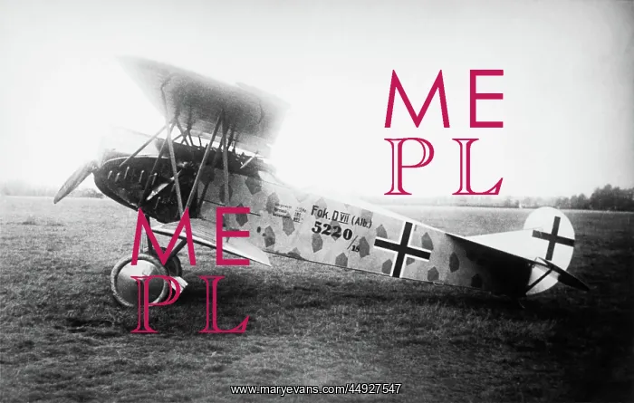 : Fokker D-VII / 7 : Fokker D-VII / 7
