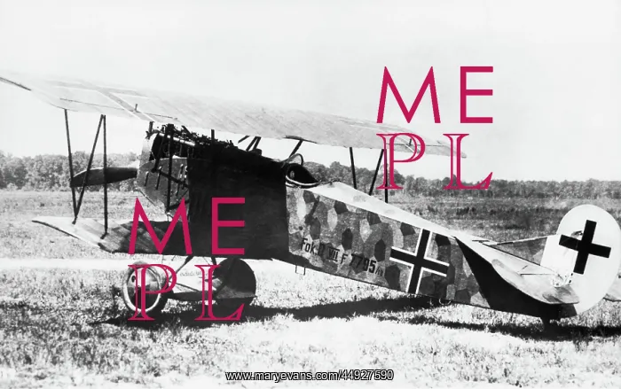 : Fokker D-VII / 7 : Fokker D-VII / 7