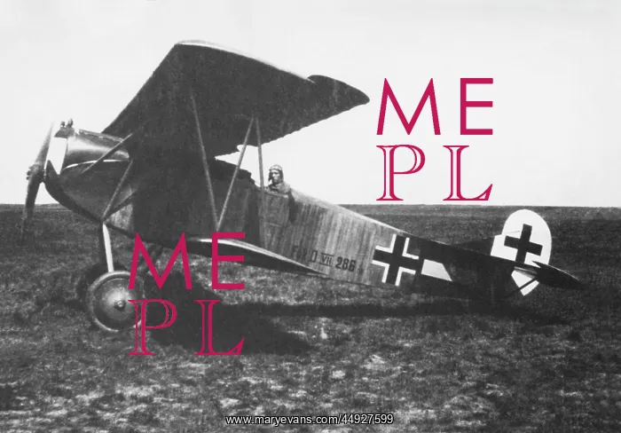 : Fokker D-VII / 7 : Fokker D-VII / 7