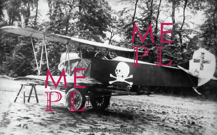 : Fokker D-VII / 7 : Fokker D-VII / 7