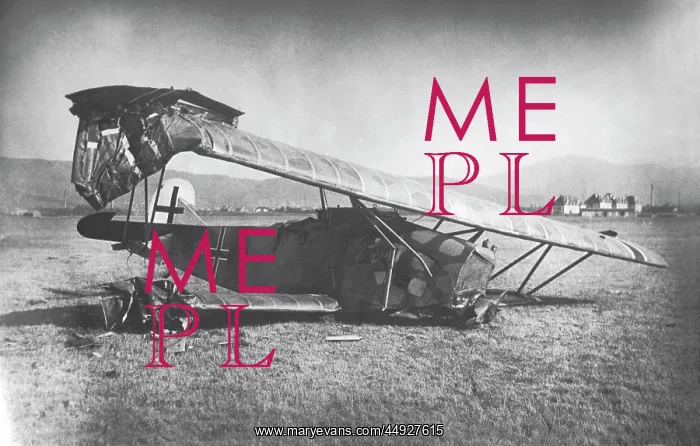 : Fokker D-VII / 7 : Fokker D-VII / 7