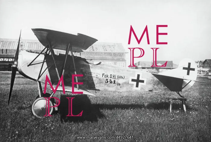 : Fokker D-VII / 7 : Fokker D-VII / 7