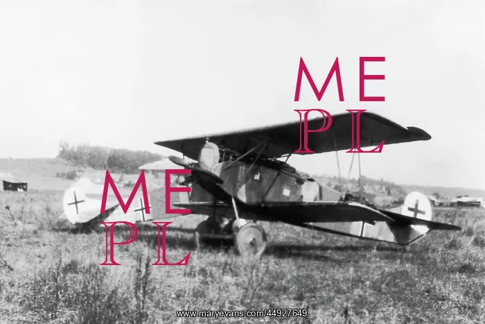 : Fokker D-VII / 7 : Fokker D-VII / 7