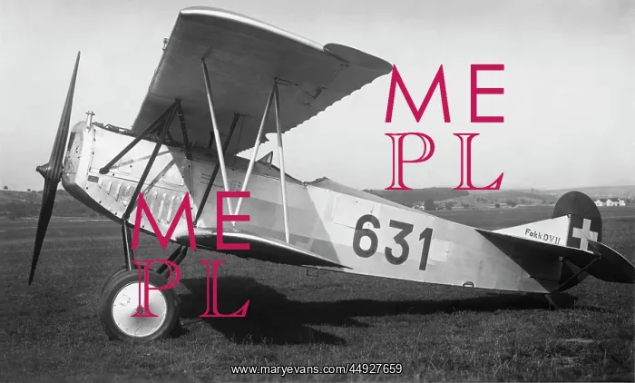 : Fokker D-VII / 7 : Fokker D-VII / 7