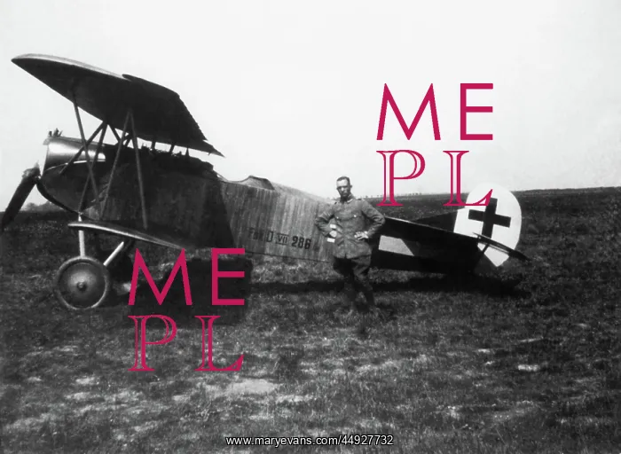 : Fokker D-VII / 7 : Fokker D-VII / 7