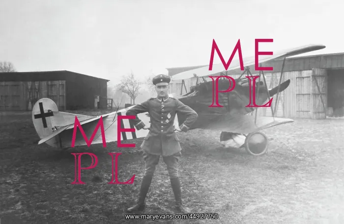: Fokker D-VII / 7 : Fokker D-VII / 7