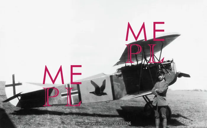 : Fokker D-VII  /  7