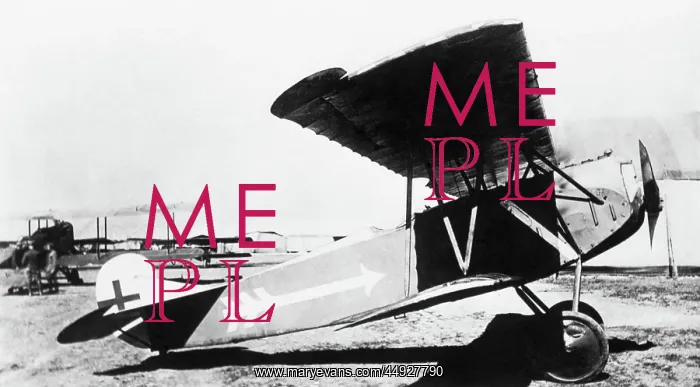 : Fokker D-VII / 7 : Fokker D-VII / 7