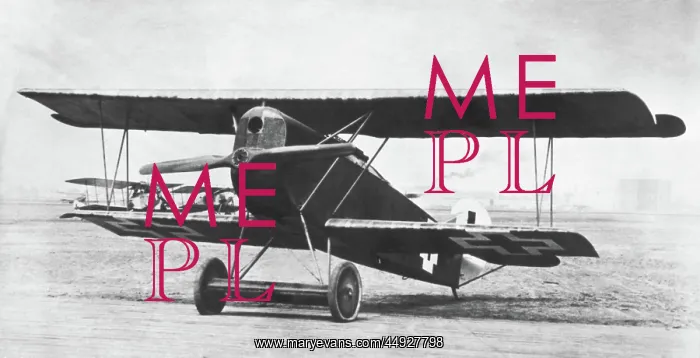 : Fokker D-VII / 7 : Fokker D-VII / 7