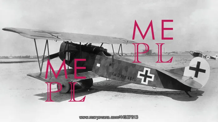 : Fokker D-VII / 7 : Fokker D-VII / 7